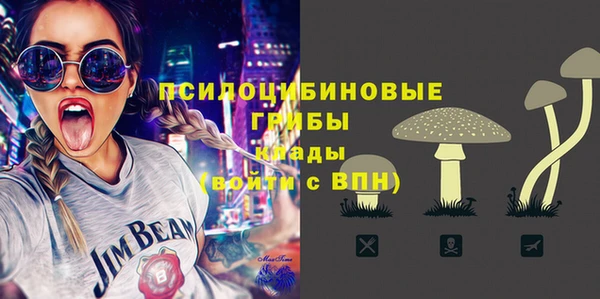 гашик Алзамай