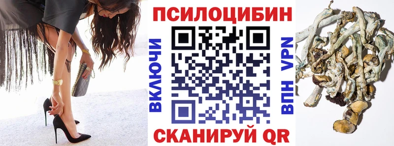 закладки  Азнакаево  Псилоцибиновые грибы Psilocybe 